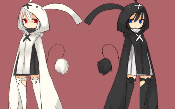 Anime-style HD desktop wallpaper featuring White Rock Shooter and Black Rock Shooter in contrasting white and black hooded outfits with bunny ears.