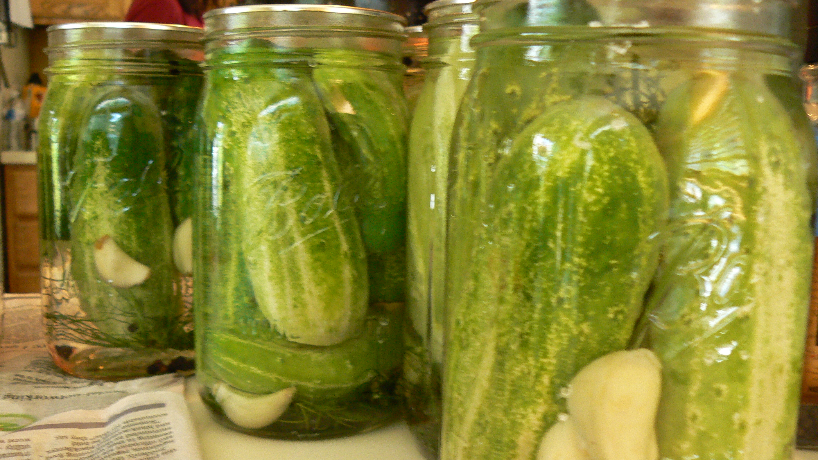 Pickles Full HD Bakgrund and Bakgrund | 2816x1584 | ID:658617