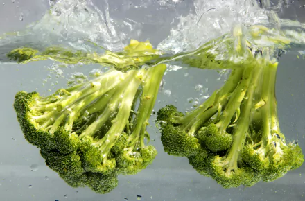 food broccoli HD Desktop Wallpaper | Background Image