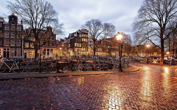 Hecho por el hombre Ámsterdam Ciudades Países Bajos Luz Lluvia Reflejo Bicicleta Fondo de pantalla HD | Fondo de Escritorio