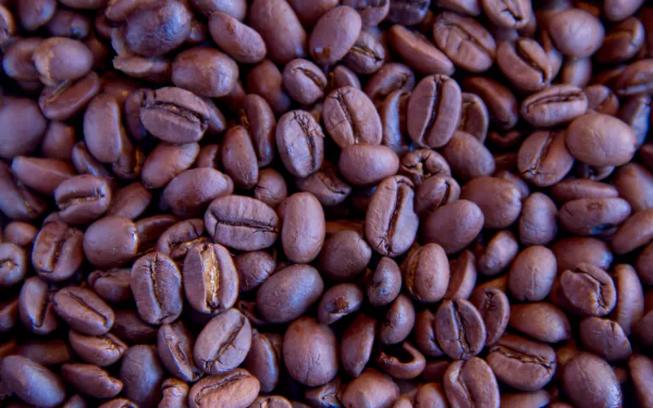 food coffee HD Desktop Wallpaper | Background Image