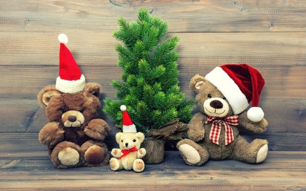 Holiday Christmas Stuffed Animal Toy Teddy Bear Christmas Tree Santa Hat HD Wallpaper | Background Image