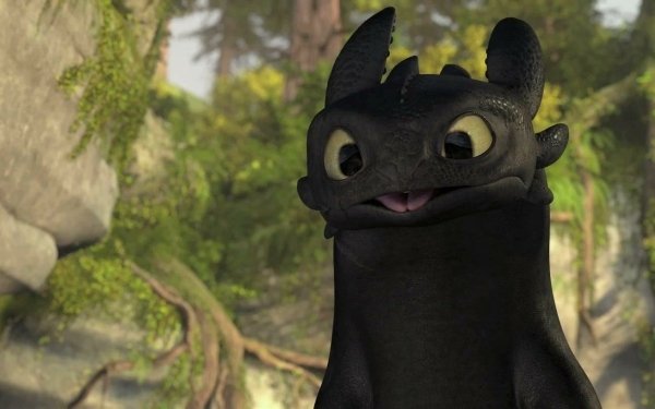 Movie How To Train Your Dragon How to Train Your Dragon Toothless HD Wallpaper | Background Image
