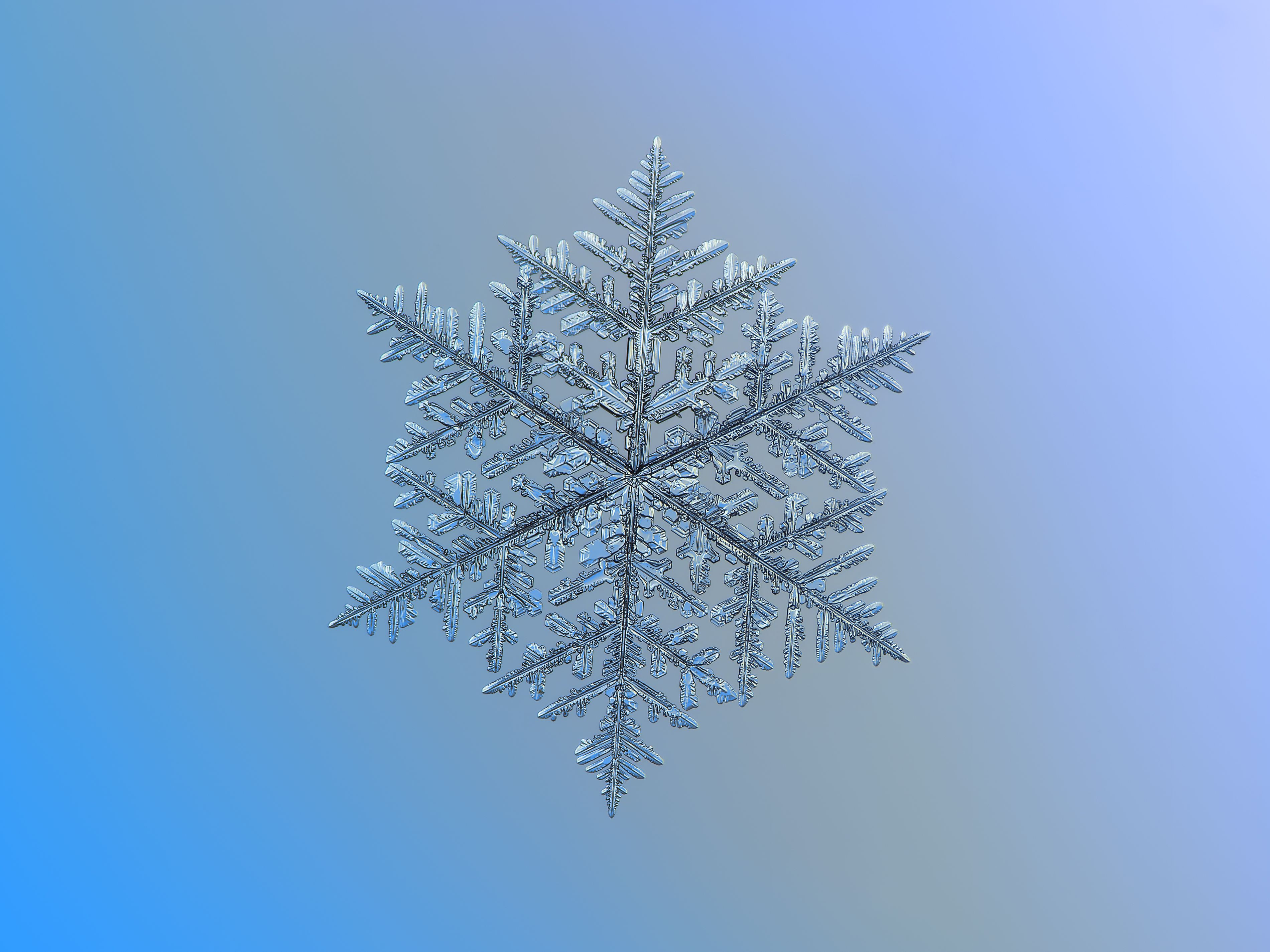 Earth Snowflake HD Wallpaper | Background Image