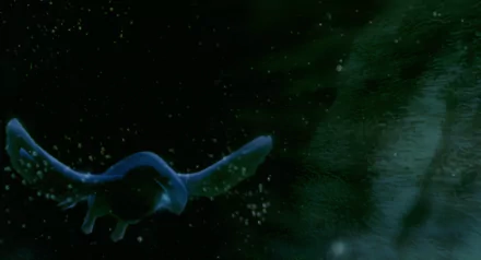 Lugia from Pokémon: The Movie 2000 soars through a dark, starry sky in this HD anime-inspired PC desktop wallpaper.