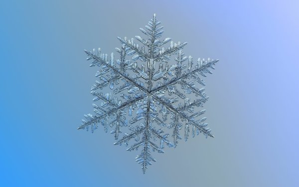 Earth Snowflake Crystal Symmetry Macro HD Wallpaper | Background Image
