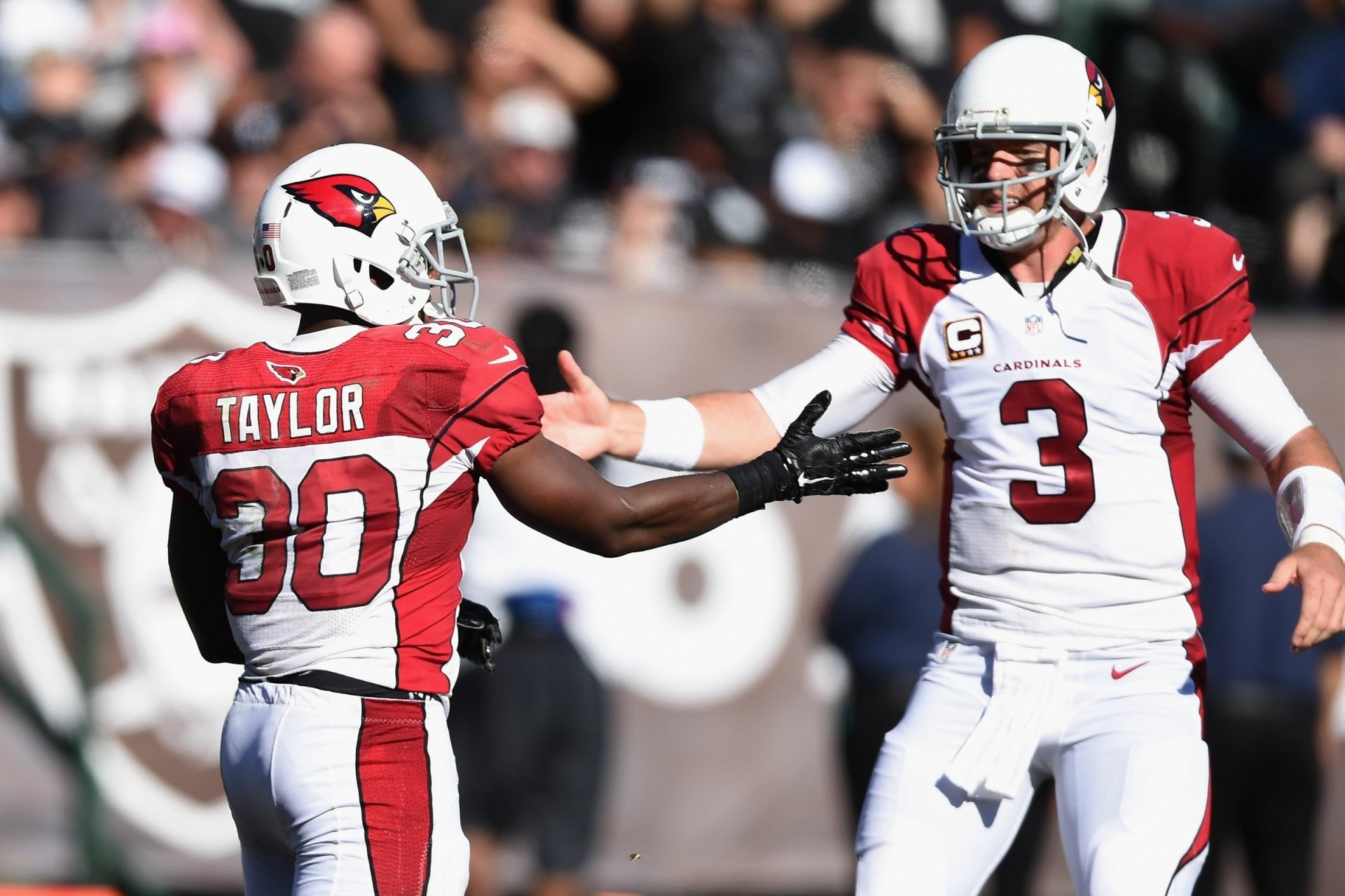 Download Arizona Cardinals Sports HD Wallpaper