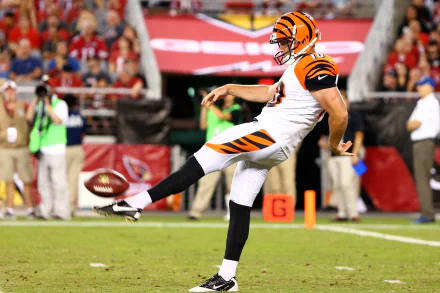 HD desktop wallpaper featuring a Cincinnati Bengals player executing a punt during a football game, capturing the intensity and action of the sport.