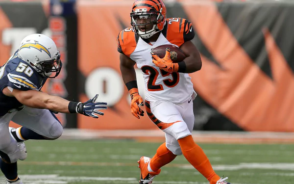 Cincinnati Bengals Sports HD Desktop Wallpaper | Background Image