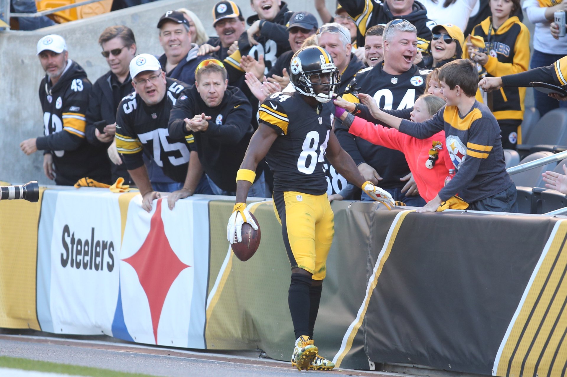 HD desktop wallpaper featuring a Pittsburgh Steelers player celebrating a touchdown with fans in the stands, capturing the team's spirit and energy in a sports moment.