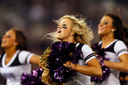 Baltimore Ravens Sports HD Desktop Wallpaper | Background Image