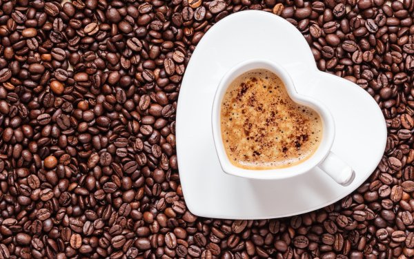 Alimento Café Cup Coffee Beans Fondo de pantalla HD | Fondo de Escritorio