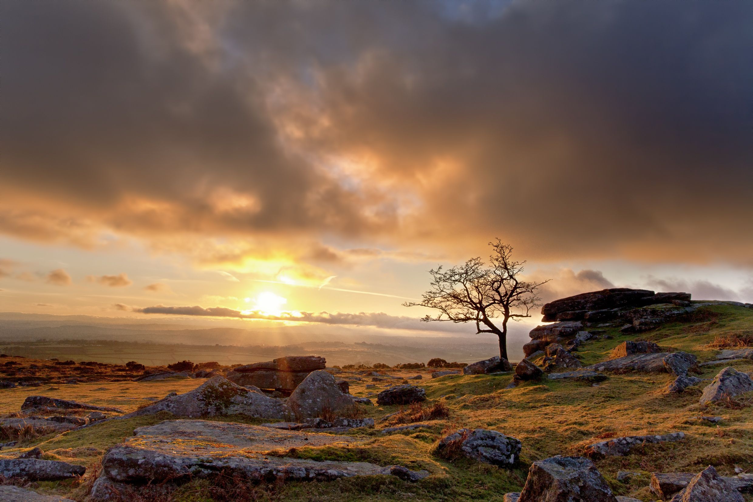 Download Hill Sea Landscape Tree Sunbeam Sun Nature Sunset HD Wallpaper