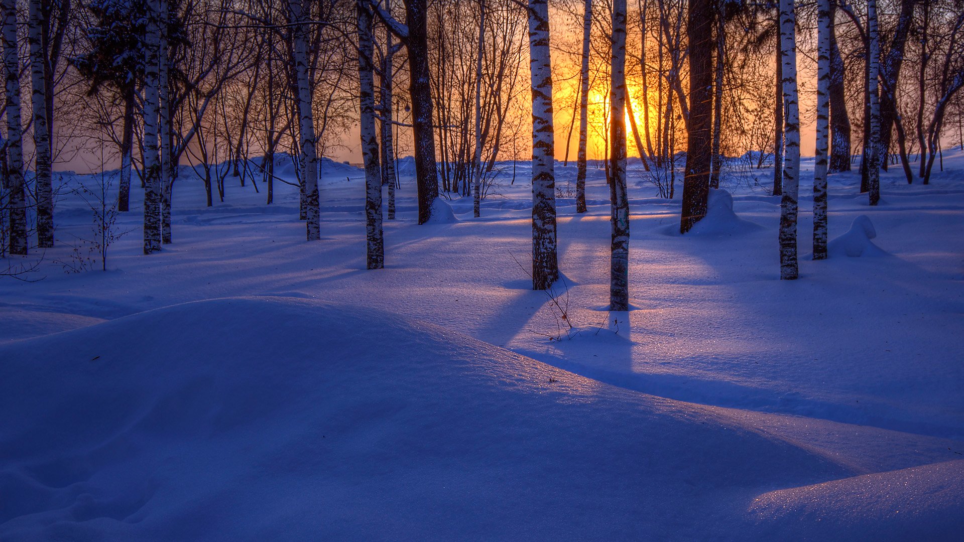 A serene winter landscape featuring snow-covered ground and slender trees silhouetted against a vibrant sunset, creating a tranquil nature scene for HD desktop wallpaper.