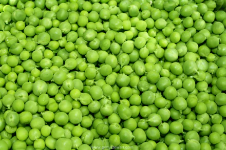 food pea HD Desktop Wallpaper | Background Image