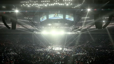 A packed arena illuminated by bright lights centers on a mixed martial arts octagon, captured in an HD sports-themed desktop wallpaper.
