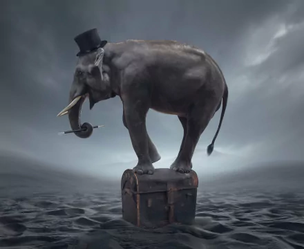 desert magician hat funny elephant HD Desktop Wallpaper | Background Image