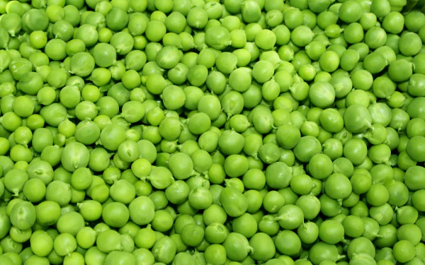 food pea HD Desktop Wallpaper | Background Image
