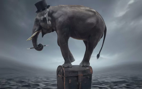 desert magician hat funny elephant HD Desktop Wallpaper | Background Image