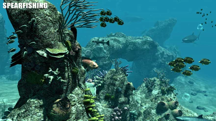 fish underwater video game Spearfishing HD Desktop Wallpaper | Background Image