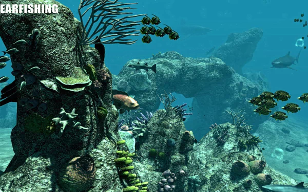 fish underwater video game Spearfishing HD Desktop Wallpaper | Background Image