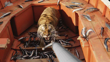 movie Life of Pi HD Desktop Wallpaper | Background Image