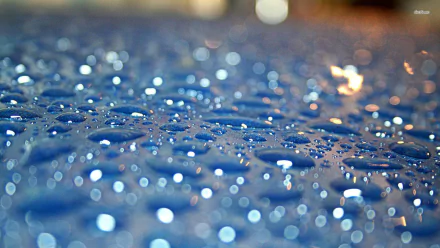  Rain Drops