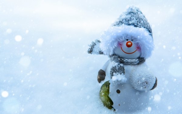 Photography Snowman HD Wallpaper | Background Image