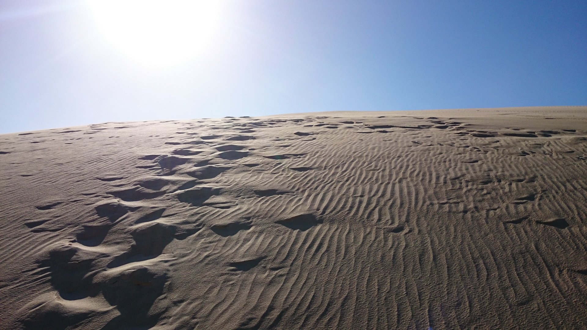 Desert by Cole_C
