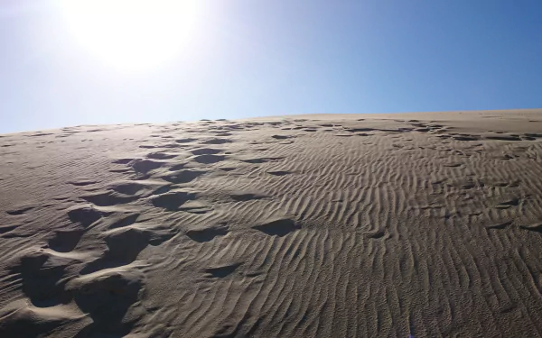 Desert