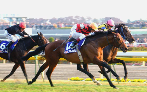 horse racing Sports HD Desktop Wallpaper | Background Image