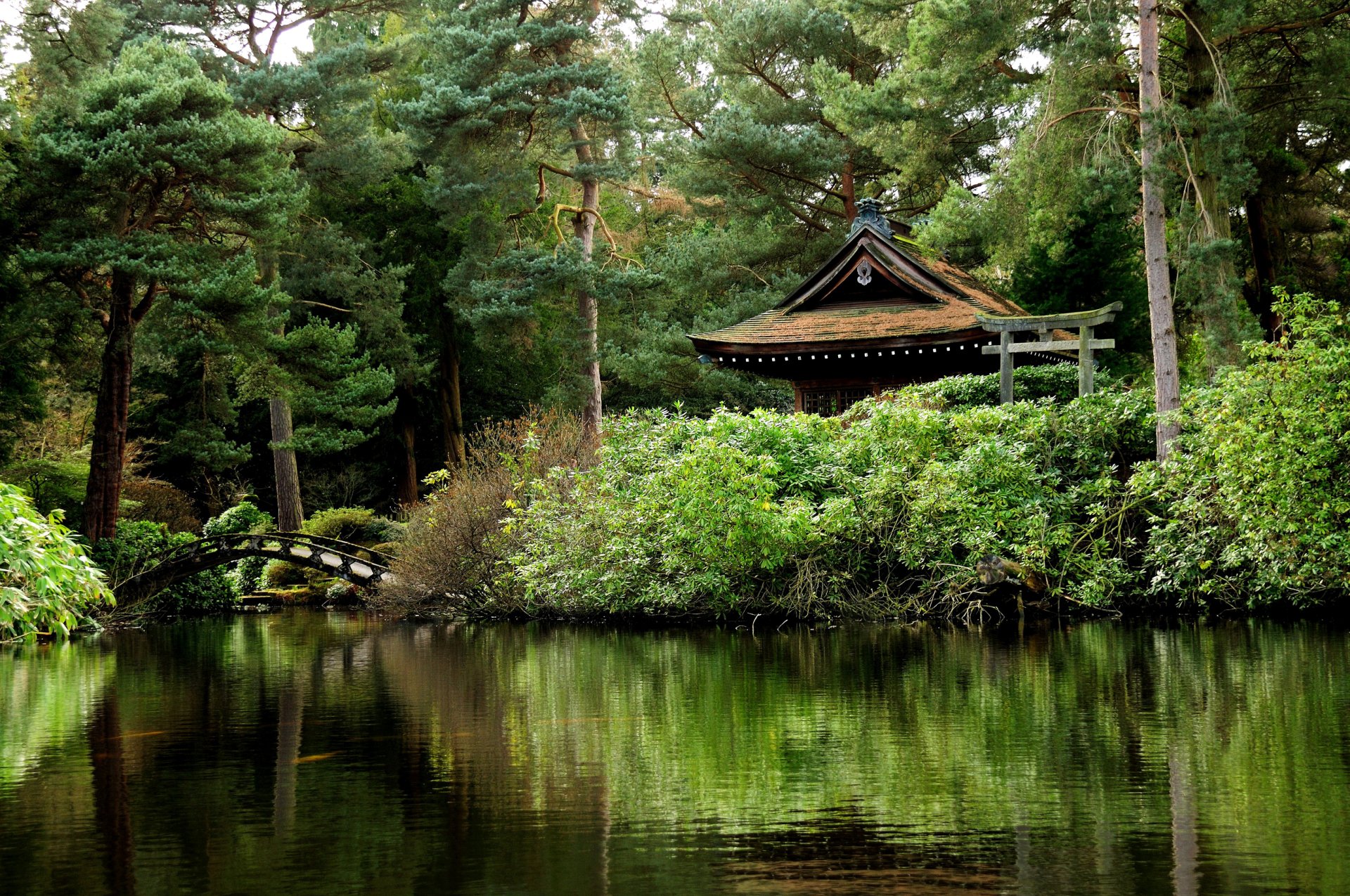 Lush green oriental garden in an English park, featuring a traditional bridge and pavilion reflected in calm water, captured in HD photography for a desktop wallpaper.