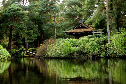 Lush green oriental garden in an English park, featuring a traditional bridge and pavilion reflected in calm water, captured in HD photography for a desktop wallpaper.