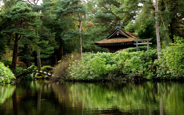 Lush green oriental garden in an English park, featuring a traditional bridge and pavilion reflected in calm water, captured in HD photography for a desktop wallpaper.