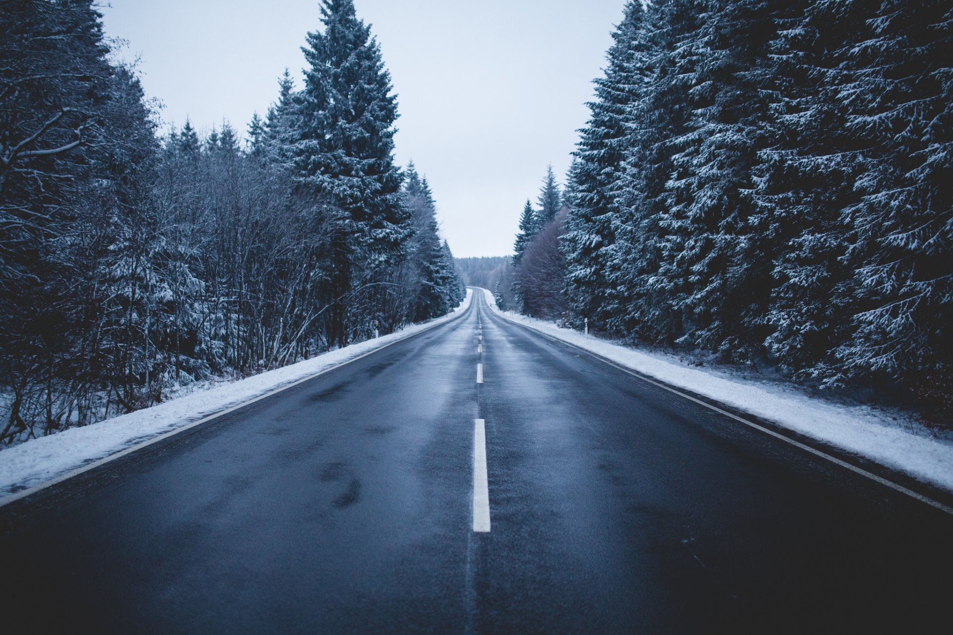 Download Sky Winter Snow Tree Forest Man Made Road HD Wallpaper