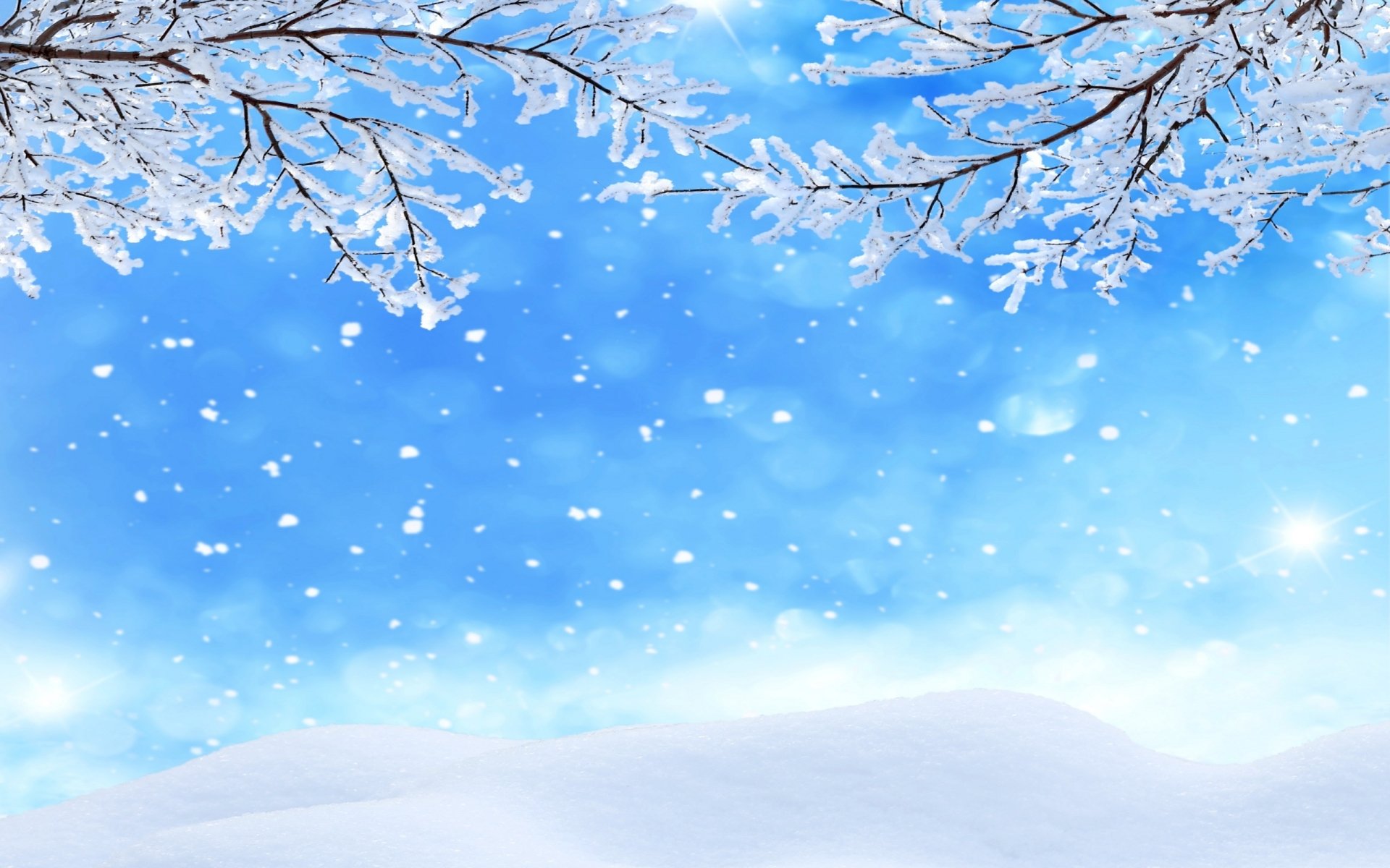 Download Branch Snow Artistic Winter HD Wallpaper