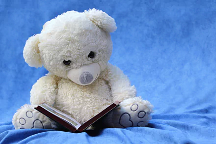 A plush teddy bear is sitting against a blue backdrop, holding a book open on its lap.