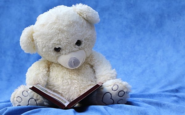 Man Made Stuffed Animal Teddy Bear Toy Book Still Life Blue HD Wallpaper | Background Image