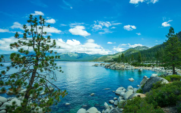 HD desktop wallpaper of Lake Tahoe featuring clear blue water, surrounding forest trees, rocky shoreline, and a vibrant sky with scattered clouds.