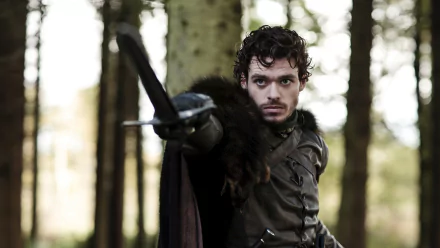 Robb Stark Richard Madden TV Show Game Of Thrones HD Desktop Wallpaper | Background Image