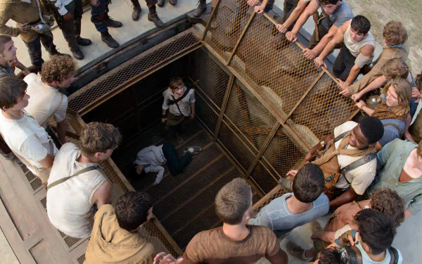 movie The Maze Runner HD Desktop Wallpaper | Background Image