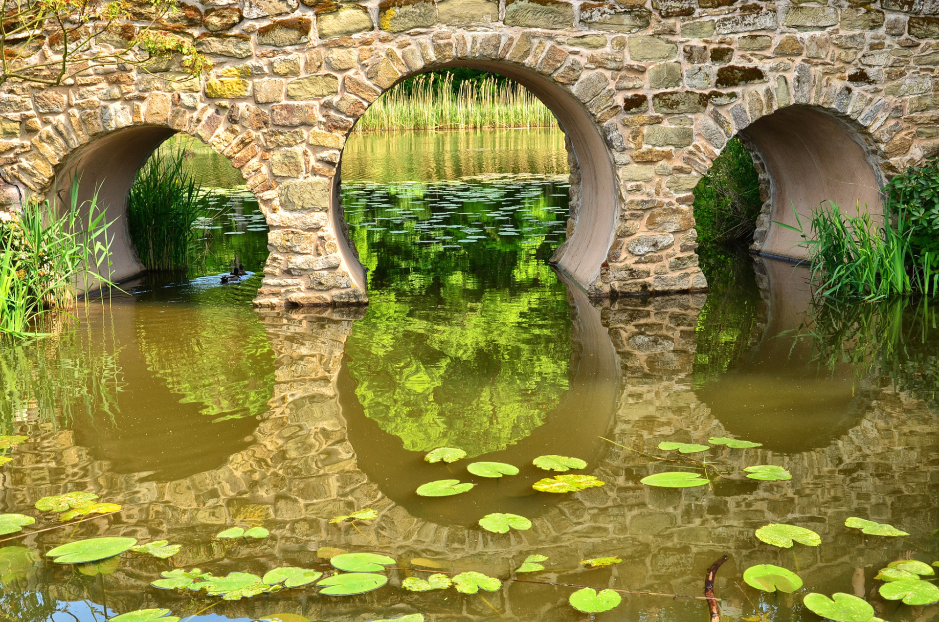 Download Arch Reflection Pond Man Made Bridge  HD Wallpaper