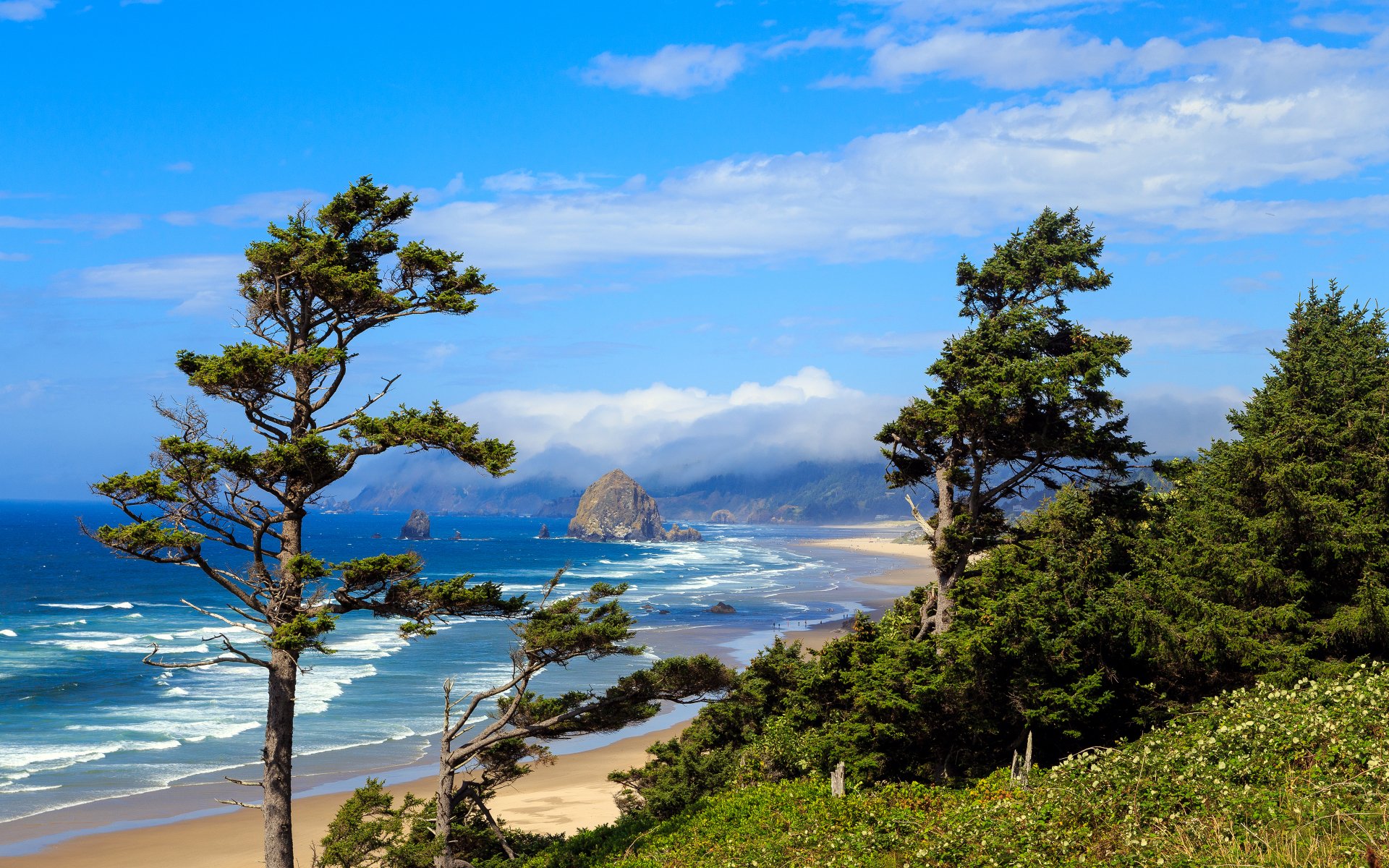 Download Cloud Landscape Nature Tree Sand Beach Coast Sea Oregon USA