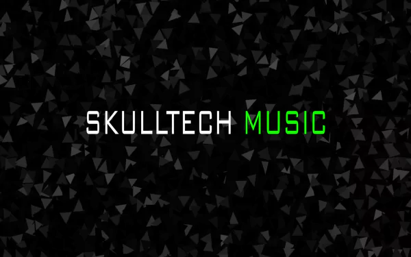  SkullTech Music