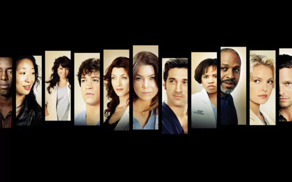 HD desktop wallpaper of the TV show Grey's Anatomy featuring a lineup of the main cast members against a black background.