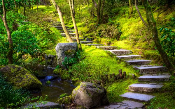 Photography Park Moss Grass Stairs Nature Stream HD Wallpaper | Background Image