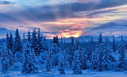 HD desktop wallpaper of a snowy mountain landscape with a winter forest, sunbeams breaking through clouds at sunset, showcasing nature’s serene beauty.