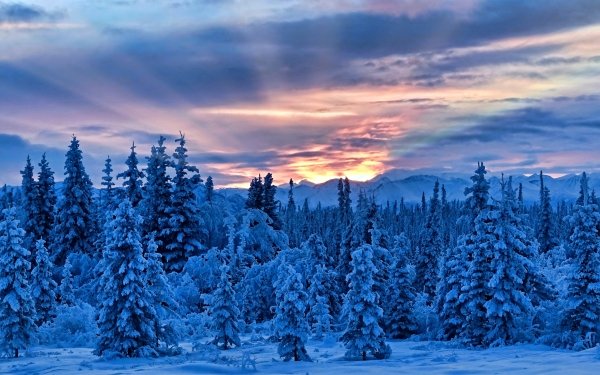 Earth Sunset Nature Forest Winter Snow Mountain Sunbeam Cloud Sky HD Wallpaper | Background Image