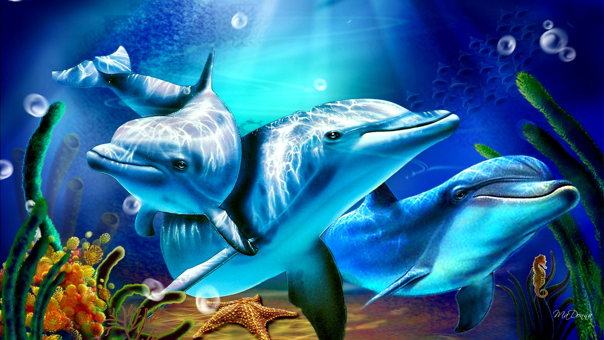 Beautiful Dolphins by Ma Donna