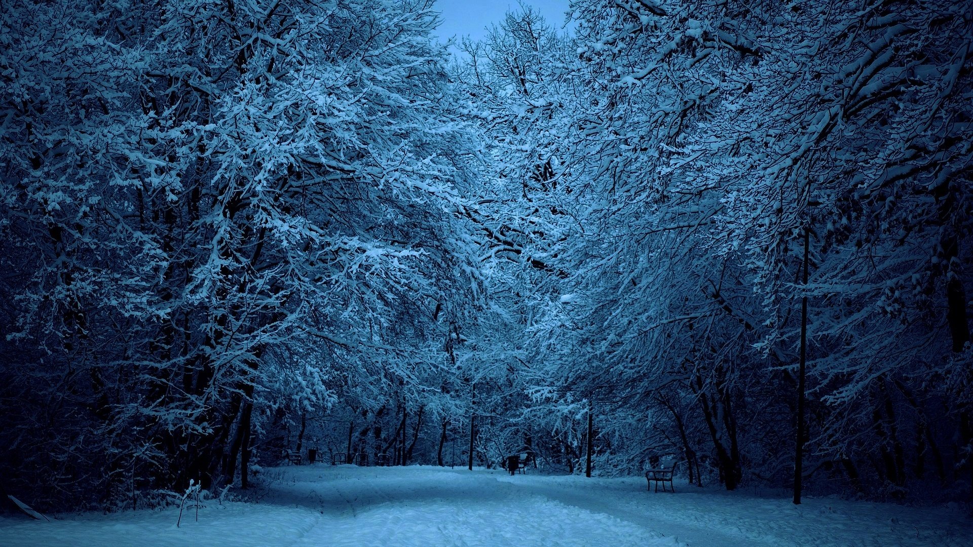 Snow-Covered Winter Street at Dusk HD Wallpaper | Background Image